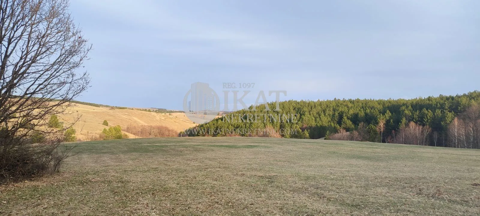 Prodaja, plac, 10000m², Tometino Polje, Požega