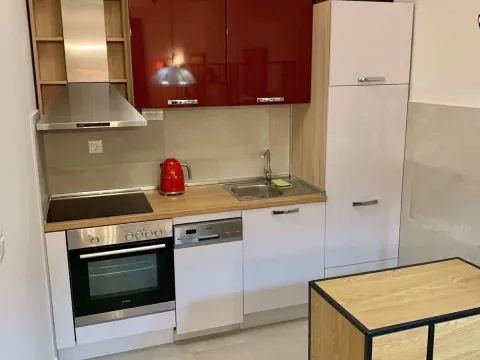 Rent, one bedroom apartment, 46m², Zabjelo, Podgorica - image 5