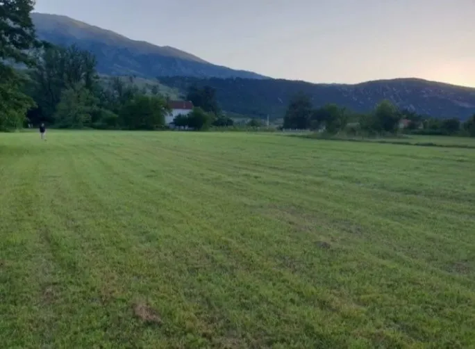 Prodaja, plac, 8500m², Frutak, Danilovgrad