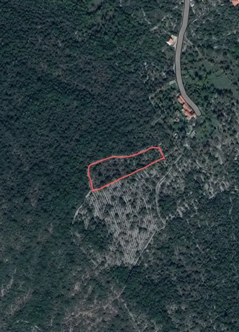 Prodaja, plac, 4150m², Herceg Novi, Crna Gora