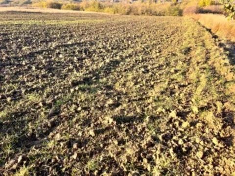 Prodaja, plac, 8900m², Vrčin, Grocka - image 7