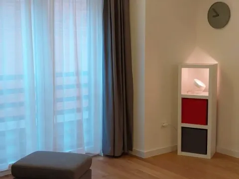 Izdavanje, dvosoban stan, 40m², Južni Bulevar, Vračar Sve Podlokacije - image 4