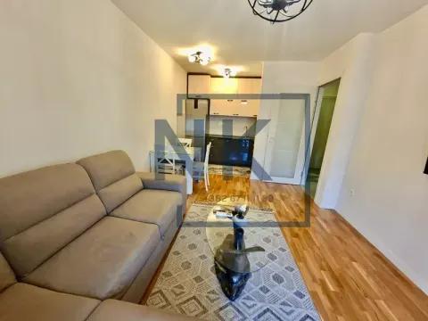 Izdavanje, jednosoban stan, 40m², Tuški Put, Podgorica - image 5