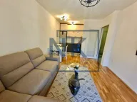 Izdavanje, jednosoban stan, 40m², Tuški Put, Podgorica - image 5