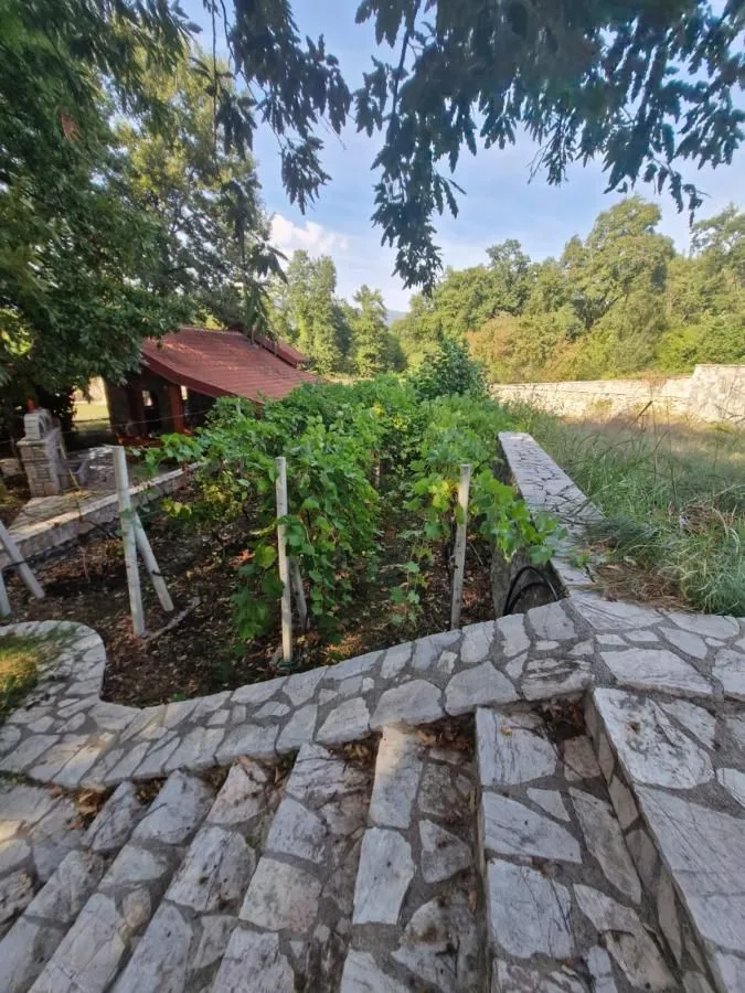 Prodaja, plac, 7300m², Spuž, Danilovgrad