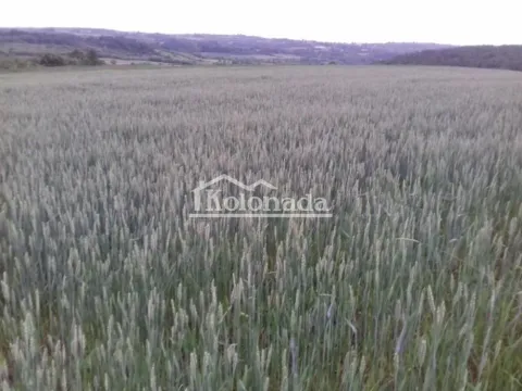 Prodaja, plac, 13000m², Nemenikuće, Sopot - image 6