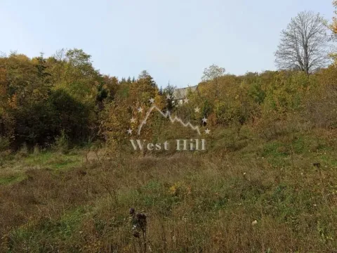 Prodaja, plac, 64000m², Kolašin, Crna Gora - image 3