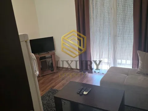 Rent, studio apartment, 25m², Zabjelo, Podgorica - image 8