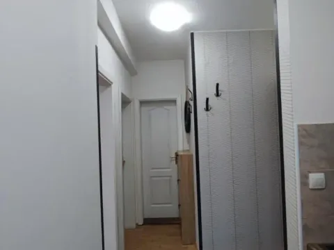 Izdavanje, jednosoban stan, 33m², Telep, Novi Sad Sve Podlokacije - image 5