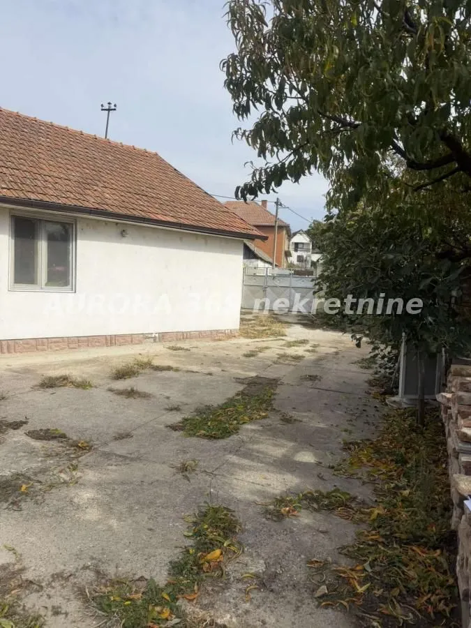 Pogled na dvorište i spoljašnjost kuće sa drvećem.