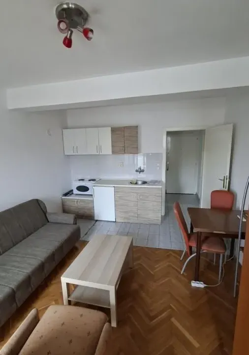 Rent, studio apartment, 24m², Grbavica, Novi Sad Sve Podlokacije