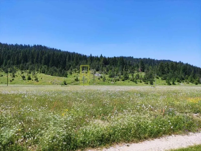 Prodaja, plac, Krš, Žabljak