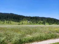 Prodaja, plac, Krš, Žabljak - image 6