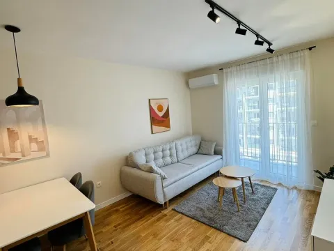 Izdavanje, jednosoban stan, 40m², Tuški Put, Podgorica - image 11