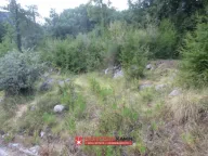 Sale, land lot, 241m², Kuljače, Budva - image 4