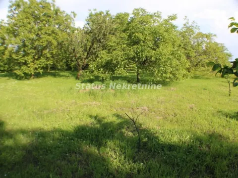 Prodaja, plac, 1200m², Irig, Srbija - image 10