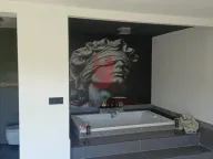 Prodaja, kuća, 150m², Kosmaj, Sopot - image 6