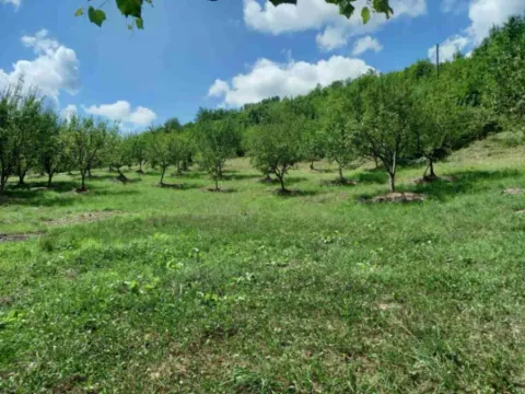 Prodaja, kuća, 50m², Loznice, Bijelo Polje - image 3