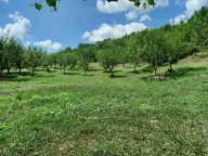 Prodaja, kuća, 50m², Loznice, Bijelo Polje - image 3