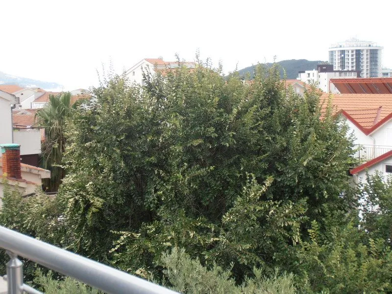 Sale, apartment, 55m², Budva, Crna Gora