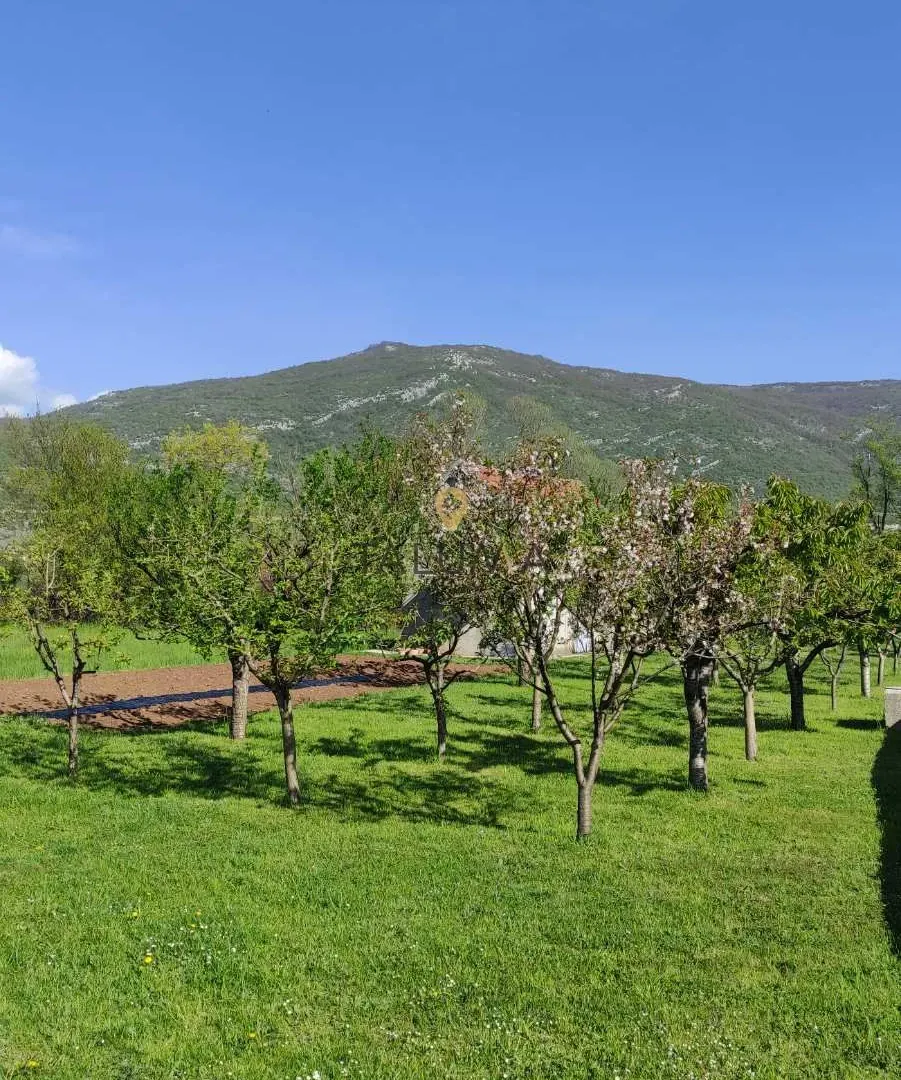 Sale, house, 152m², Brezovik, Nikšić