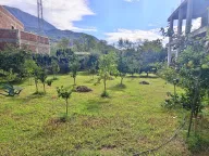 Prodaja, kuća, 270m², Polje, Bar - image 2