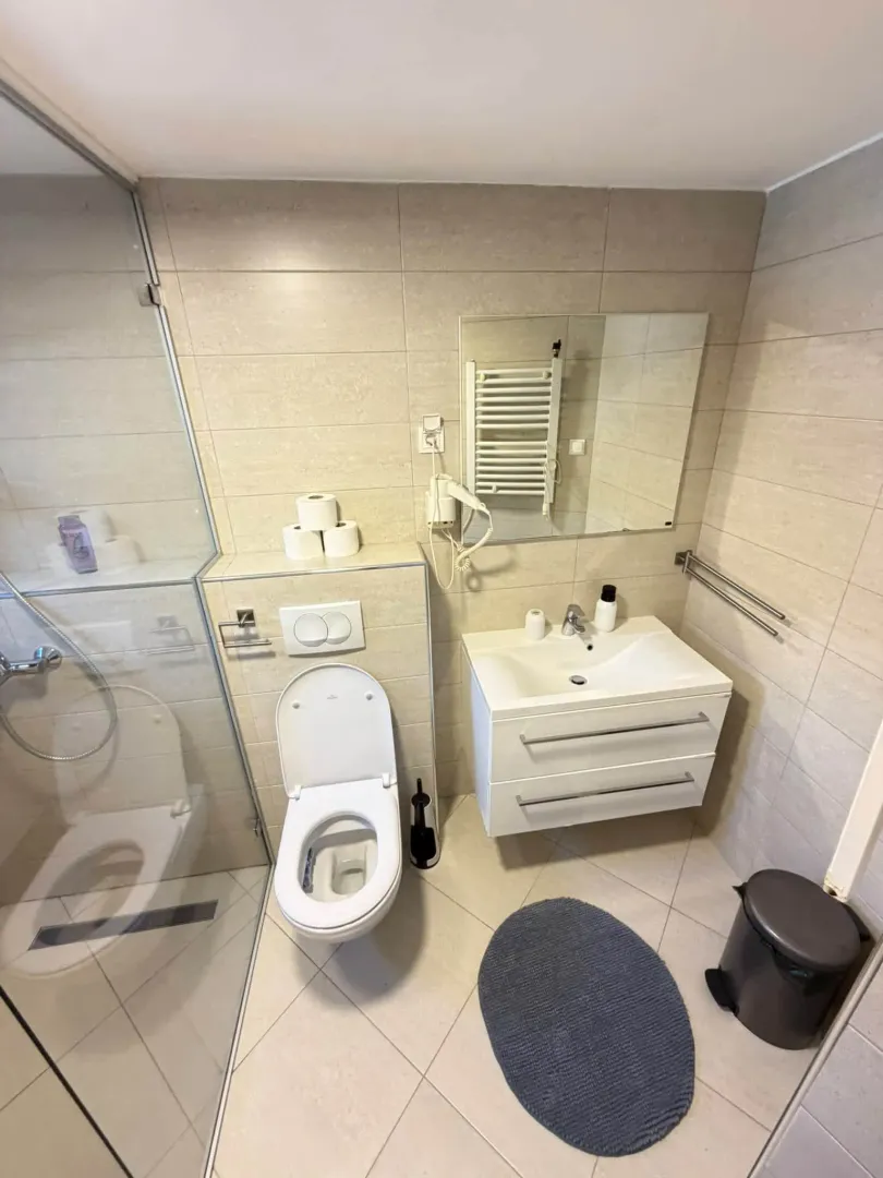 Modernly equipped bathroom with a shower cabin, washbasin, and toilet.