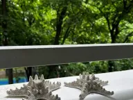 Izdavanje, dvosoban stan, 55m², Zemun Sve Podlokacije, Beograd - image 9