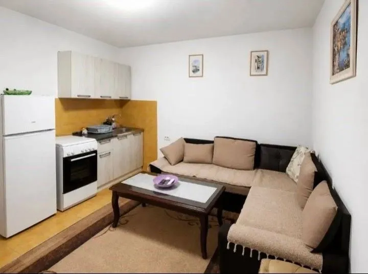 Rent, one bedroom apartment, 40m², Zabjelo, Podgorica