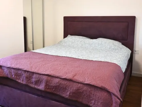 Izdavanje, stan, 50m², Zagorič, Podgorica - image 5