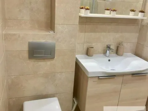 Izdavanje, jednosoban stan, 45m², Zvezdara Sve Podlokacije, Beograd - image 7