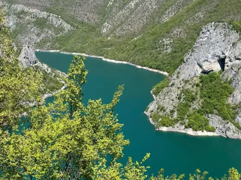 Prodaja, plac, 500m², Donja Brezna, Plužine - image 2