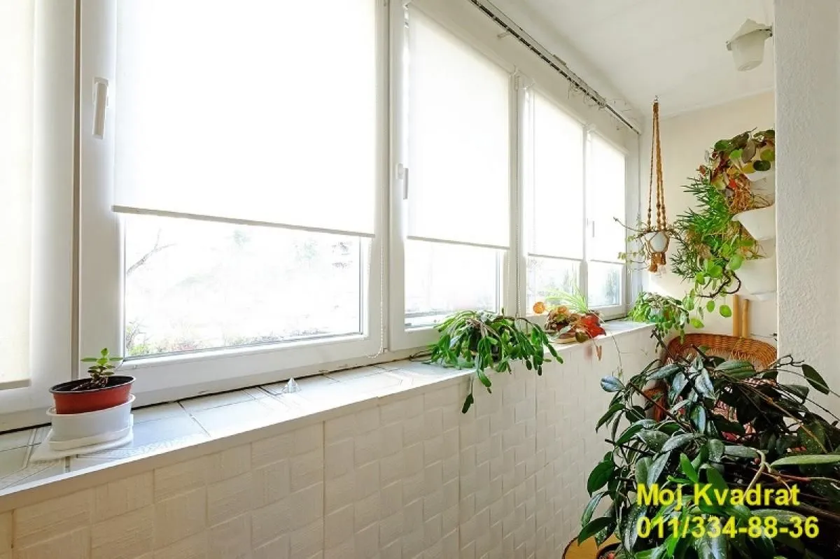 Sale, two bedroom apartment, 65m², Južni Bulevar, Vračar Sve Podlokacije