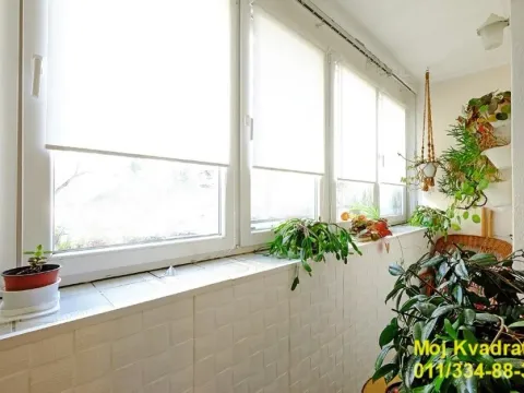 Sale, two bedroom apartment, 65m², Južni Bulevar, Vračar Sve Podlokacije - image 13