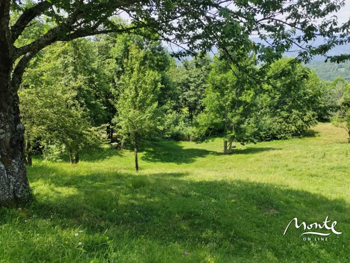 Prodaja, plac, 1313m², Drpe, Kolašin