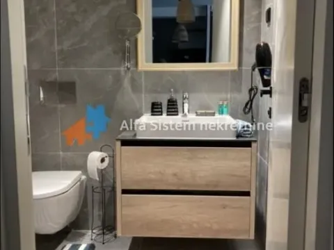 Izdavanje, dvosoban stan, 55m², Savski Venac, Beograd - image 10