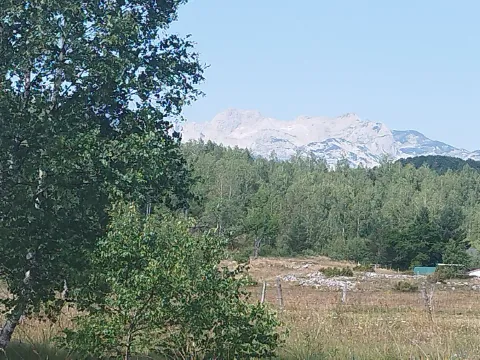 Zemljište in Tepačko polje