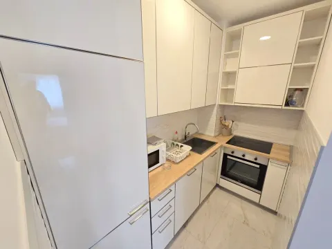 Rent, one bedroom apartment, 45m², Rozino, Budva - image 2