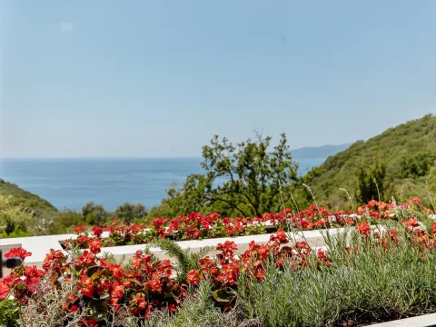 Prodaja, kuća, 318m², Reževići, Budva - image 69