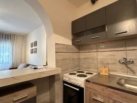 Izdavanje, jednosoban stan, 50m², Duvanište, Niš - image 6