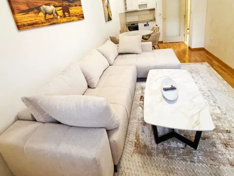 Izdavanje, stan, 46m², Zagorič, Podgorica - image 2