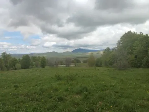 Sale, land lot, 7000m², Žabljak II, Žabljak - image 3