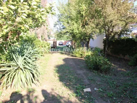 Sale, house, 131m², Kikinda, Srbija - image 11