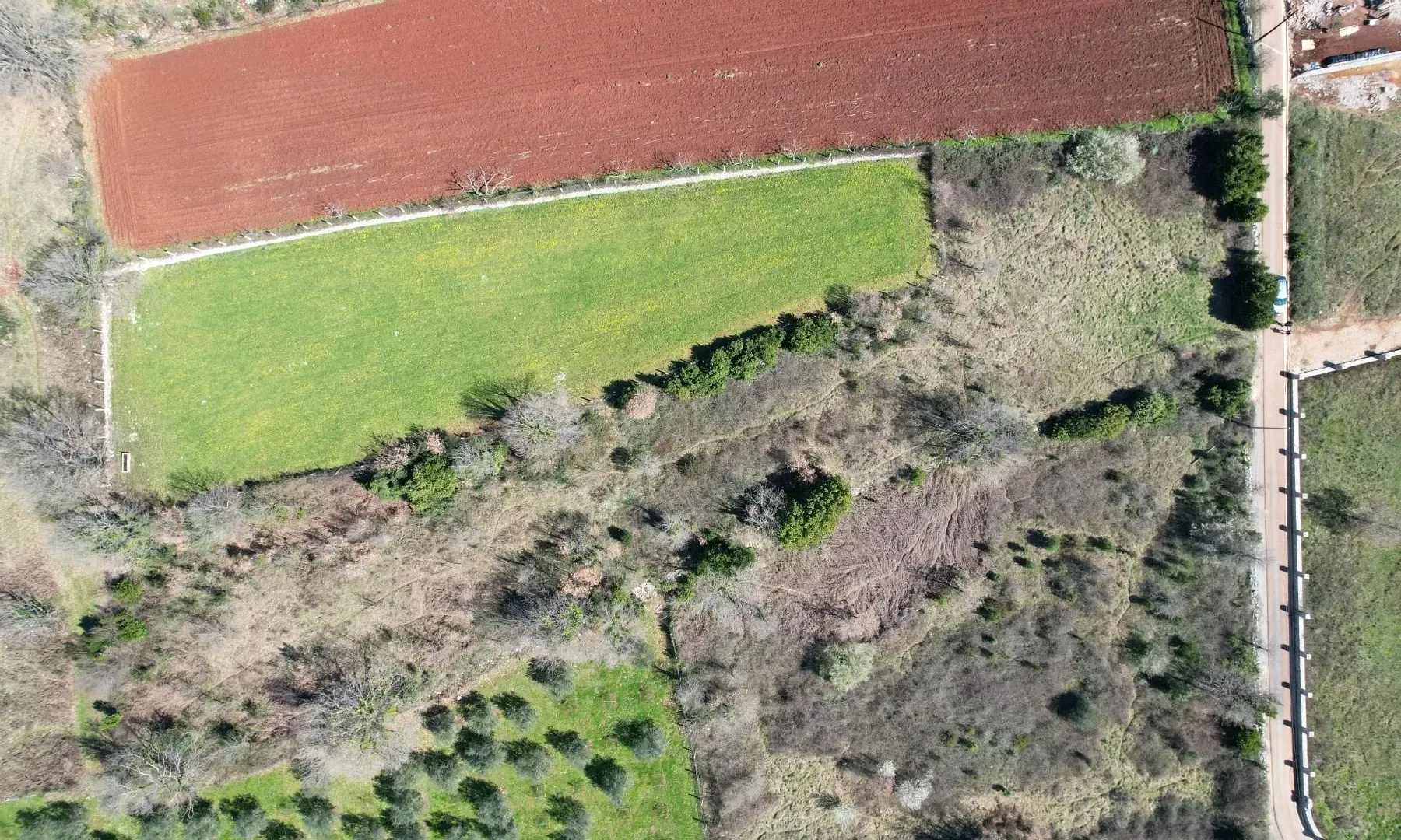 Prodaja, plac, 3520m², Krimovica, Kotor