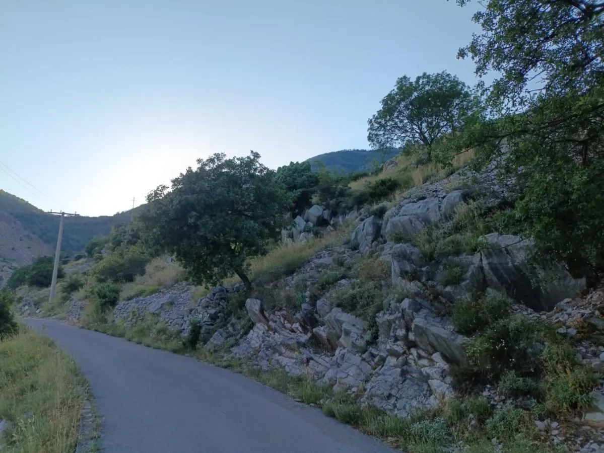Asfaltni put pored parcele sa drvećem i kamenim terenom.