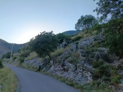 Asfaltni put pored parcele sa drvećem i kamenim terenom. - image 6