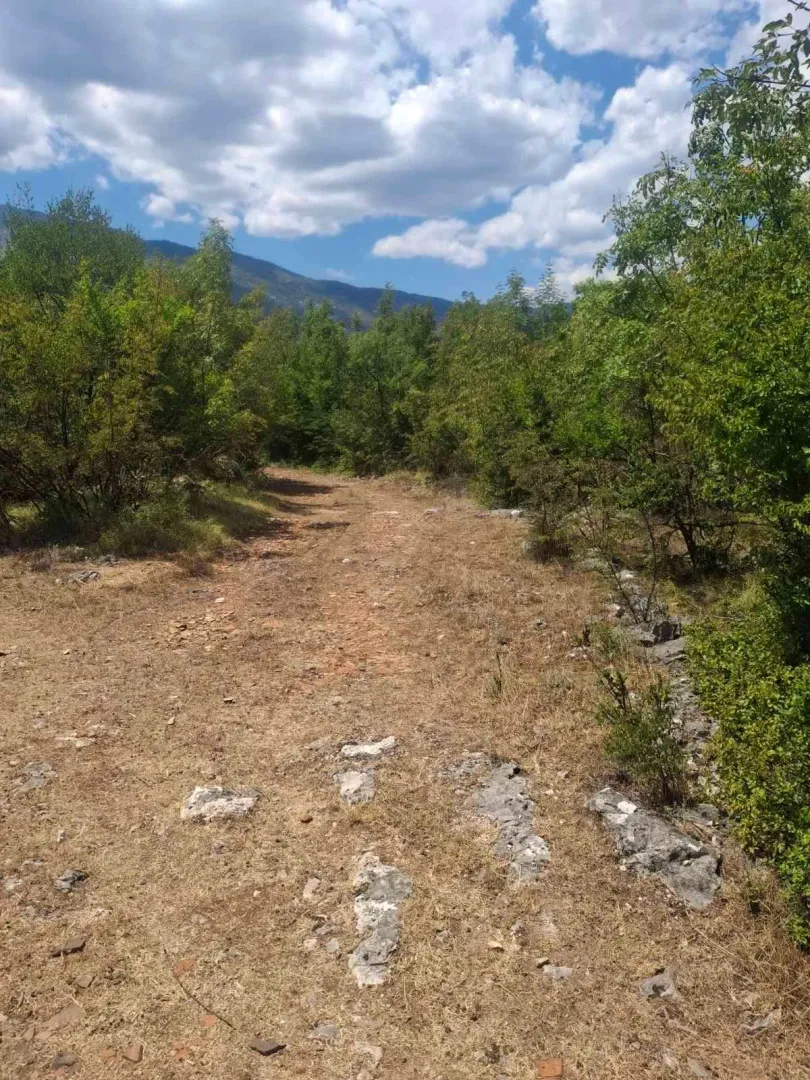 Sale, land lot, 80000m², Slap, Danilovgrad