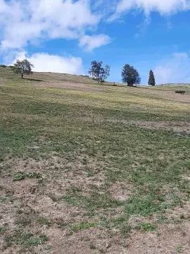 Prodaja, plac, 3923m², Bjelojevići, Mojkovac - image 4