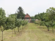 Sale, house, 35m², Krčedin, Inđija - image 9