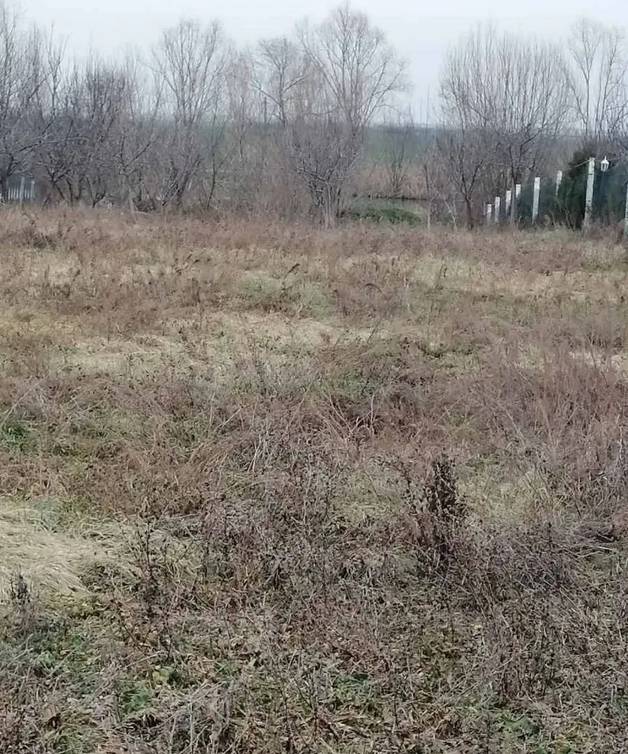 Prodaja, kuća, 99m², Bečmen, Surčin